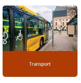 Transport Survey 2025 Results